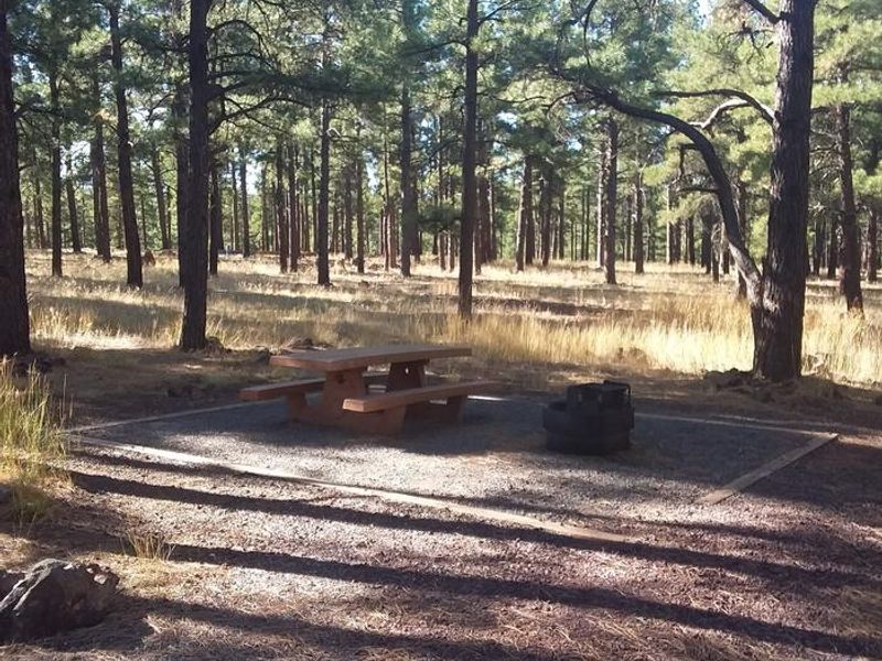 Kaibab Lake Standard Campsite