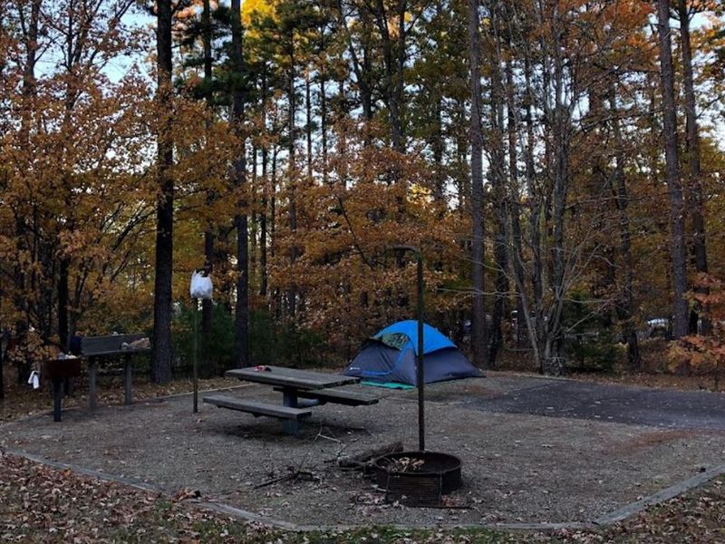 Fall view of Winding Stair Campsite