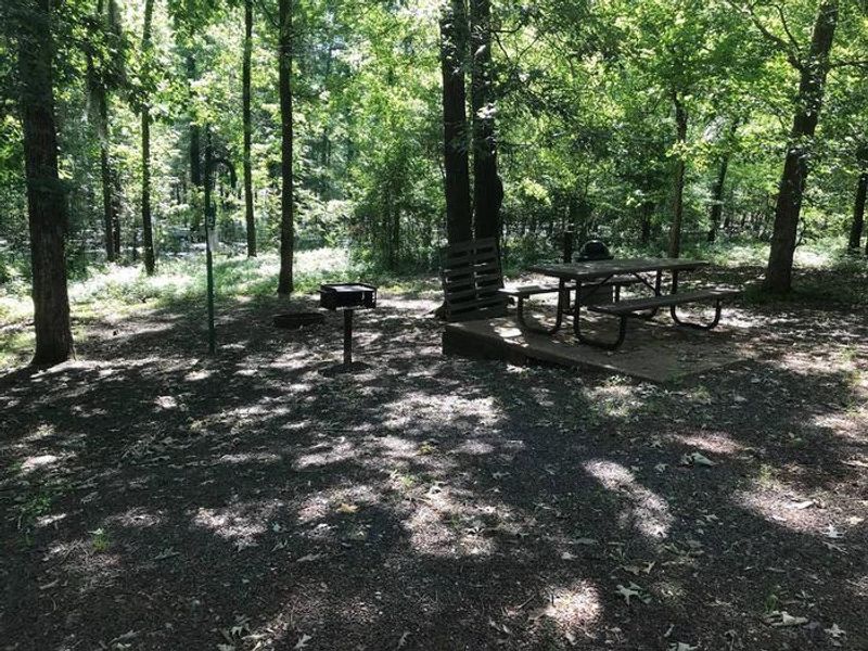 Campsite #12. Tent site with the following amenities: fire-pit, grill, picnic table, lantern pole, trash can.
