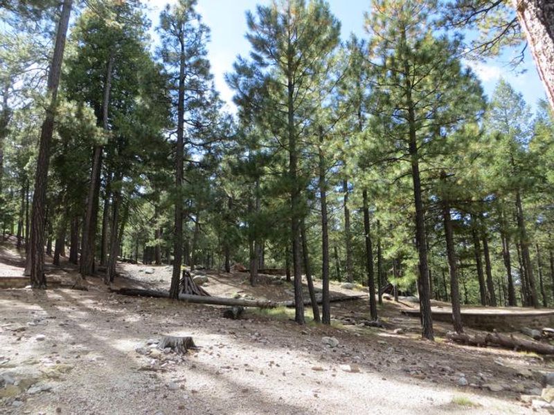 Whitetail Campground 