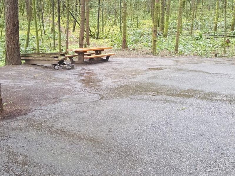 Wyeth campground Site #10 - room for many vehicles