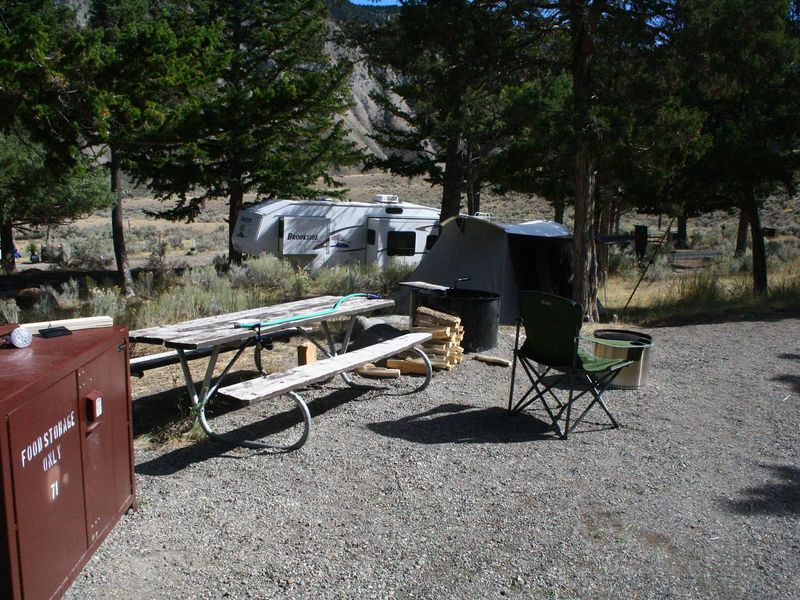 Mammoth Campsite #71