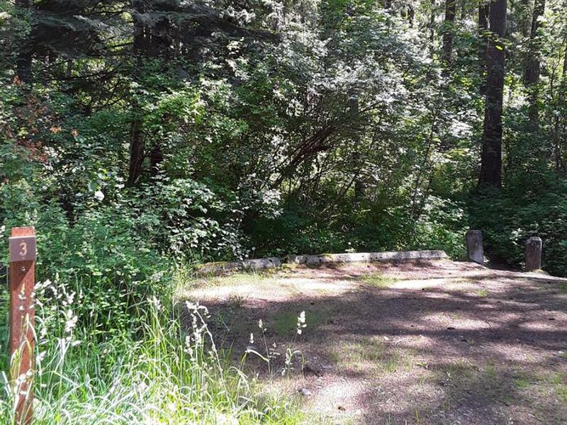 Trout Creek Campground