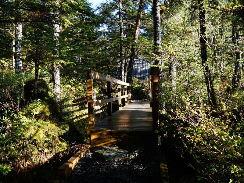 Walkway to Cabin