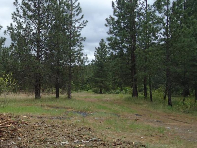 Sloway Equestrian Site