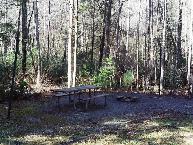 Welcome to site #2 the first site on the right when you arrive