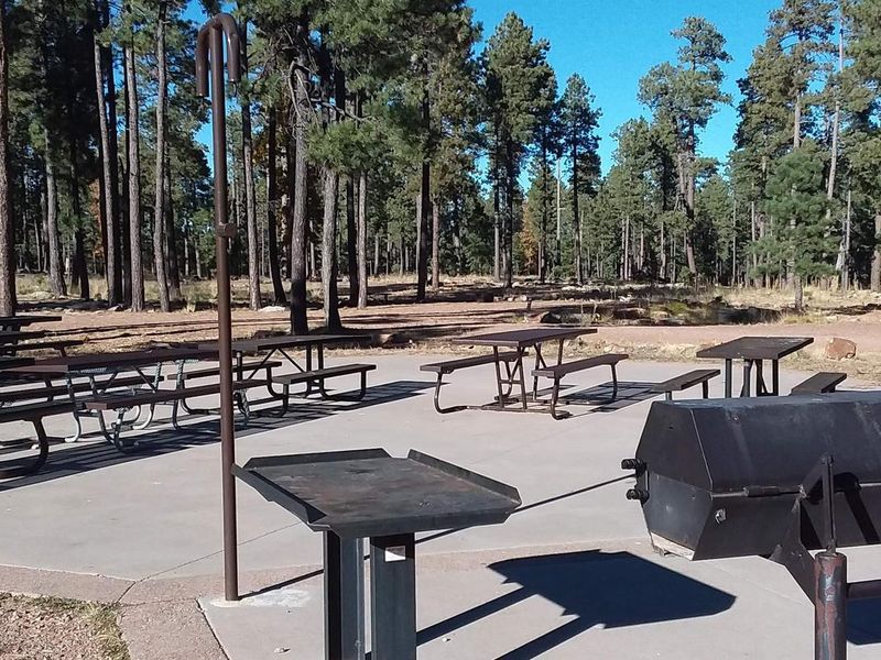 Group picnic area.