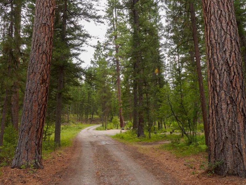 Scenic road around campground