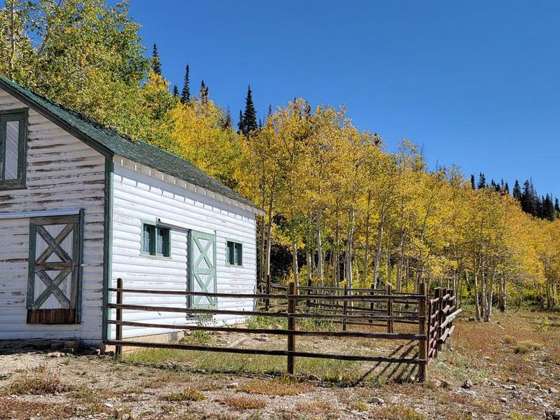 Seely Creek Guard Station Stable