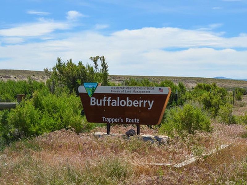 Buffaloberry Campground sign