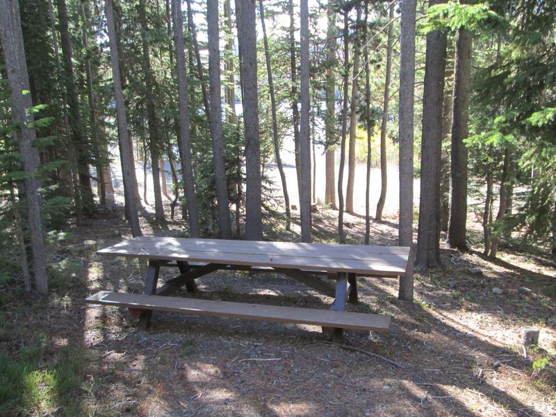 Olive Lake Campground lower day-use picnic table