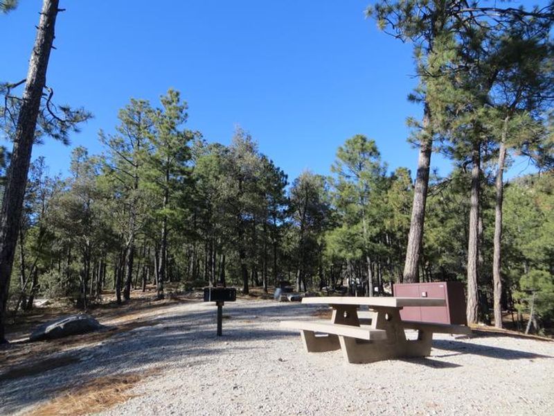 Rose Canyon Lake Campground