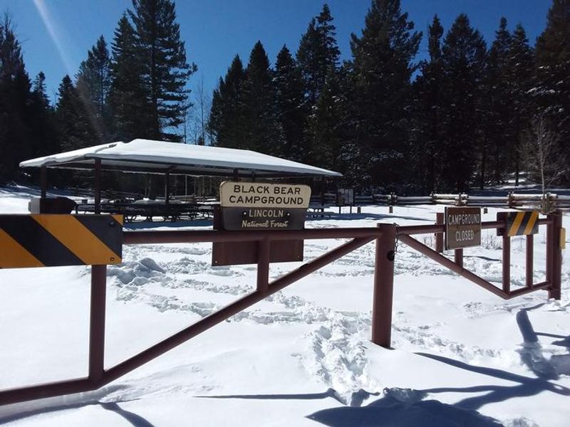 Black Bear Group Campground