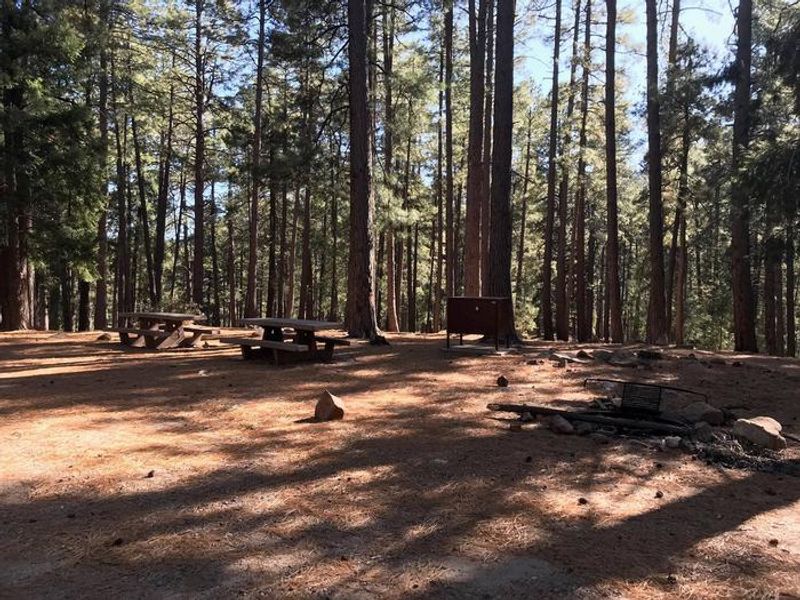 Upper Twilight Group Site