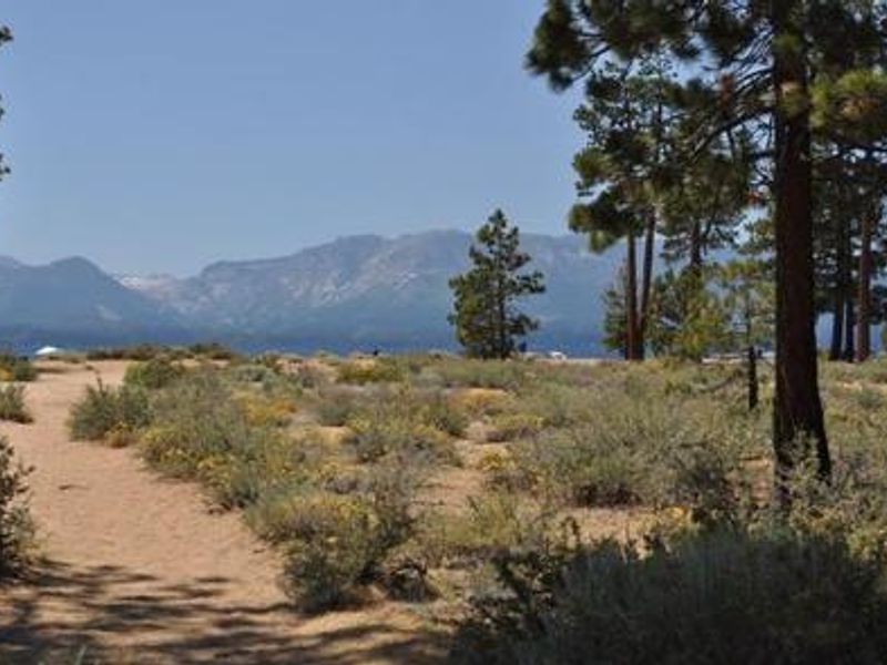 One of many trails for beach access. 