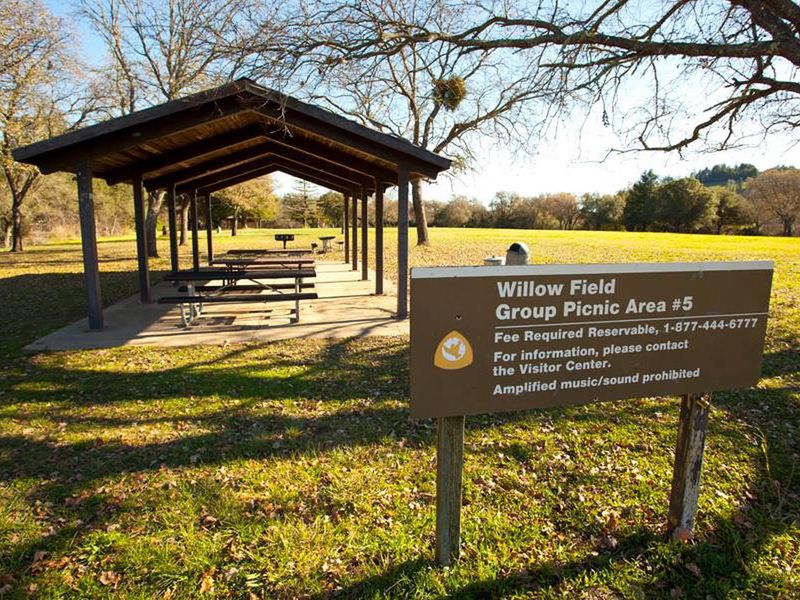 Willow Field Group picnic #5