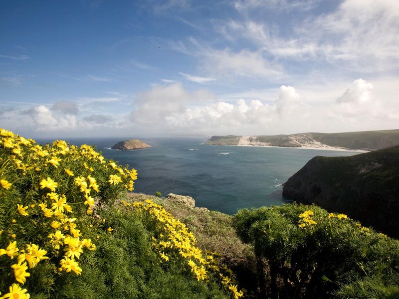 Cuyler Harbor, San Miguel Island