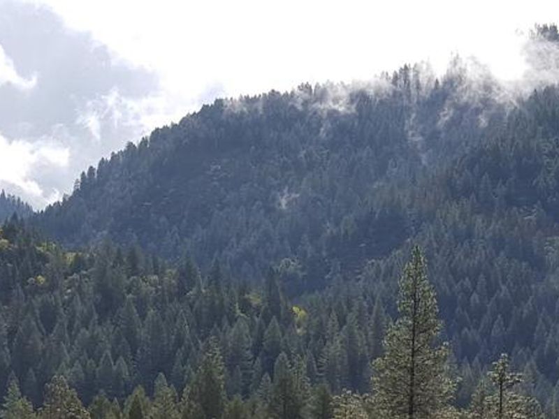 North Fork Yuba River Canyon, near Ramshorn