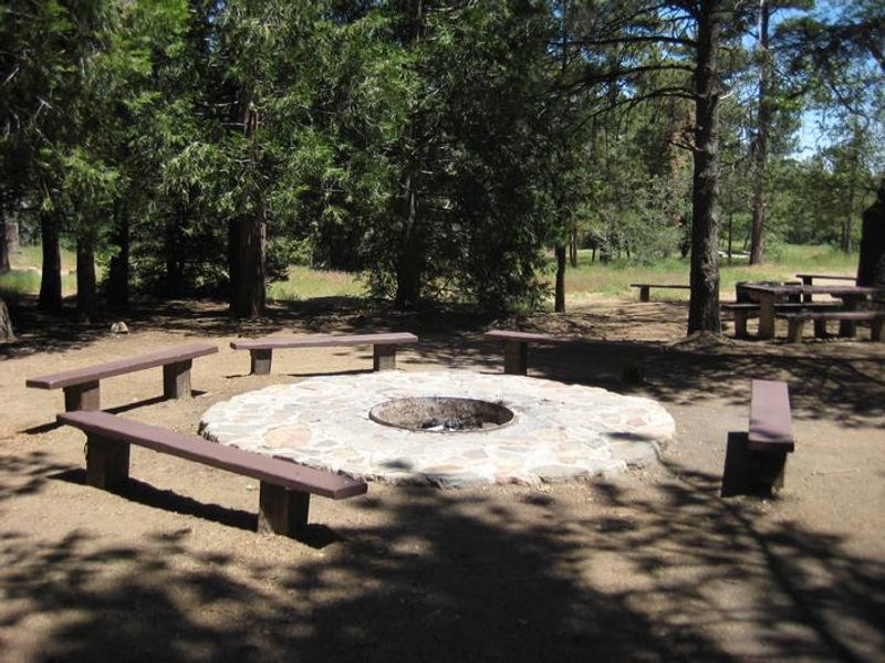 Wooded Hill Group Campground