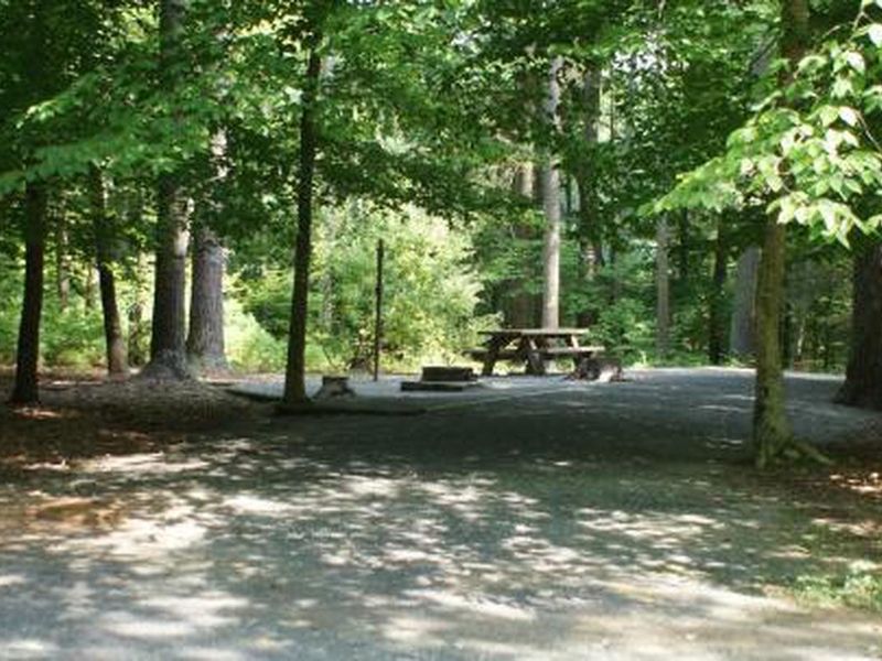 Little Oak Recreation Area