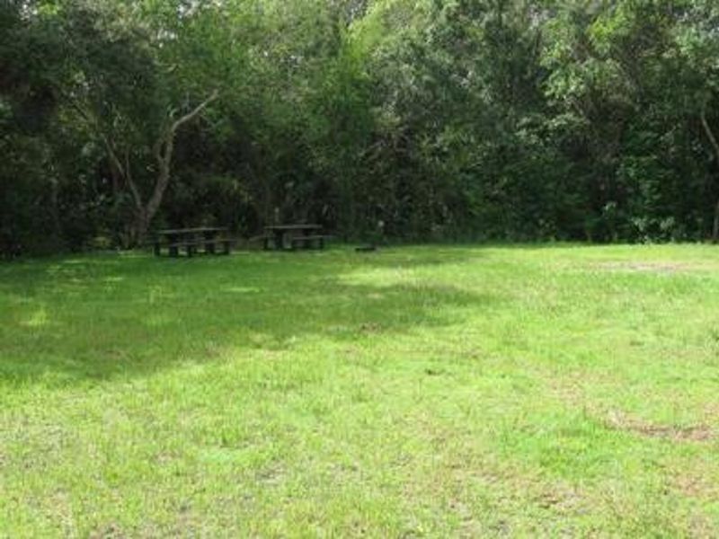 Pinecrest group campsites