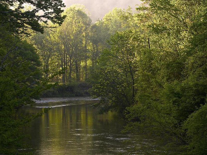 West Fork of the Chattooga River