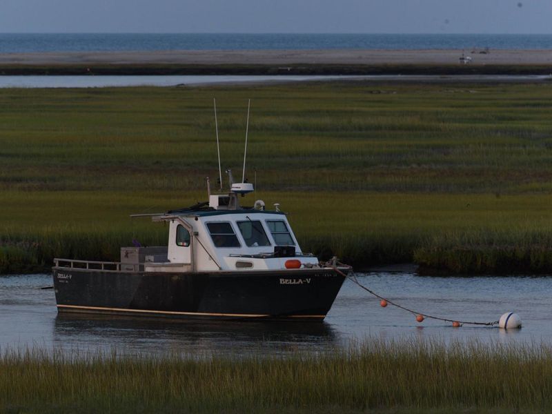 Explore the harbors and marshes of Wellfleet