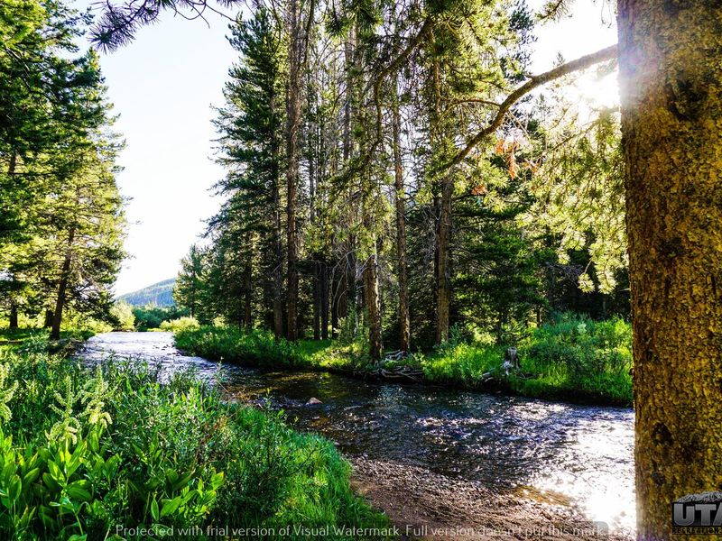 Sulphur Campground 2