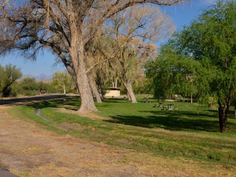 Large trees lining grassy, flat areas