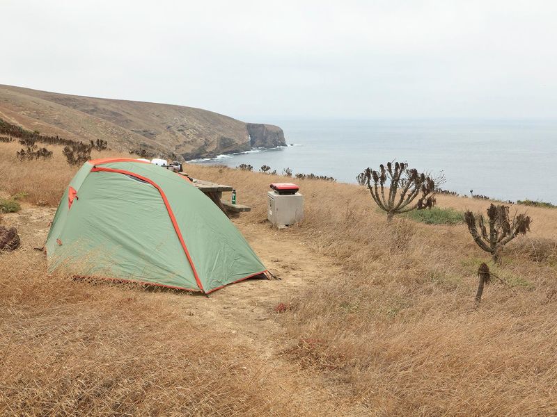 Campground, Santa Barbara Island