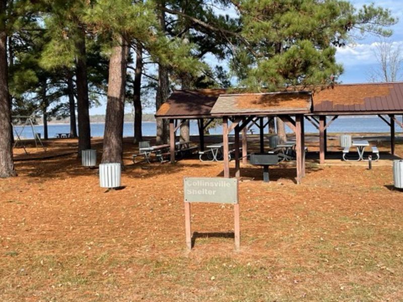 Collinsville Shelter