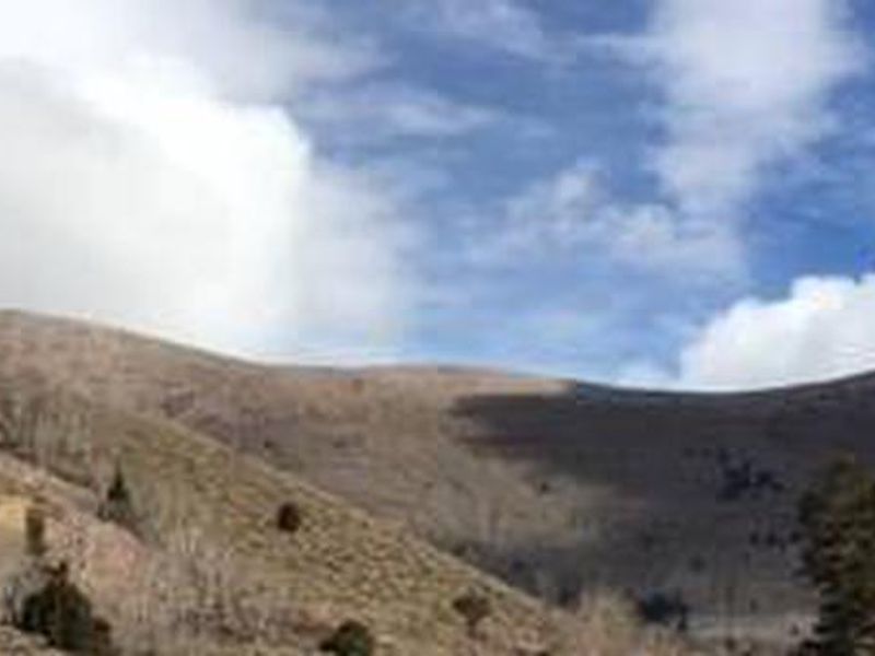Timber Creek View of North Schell Peak