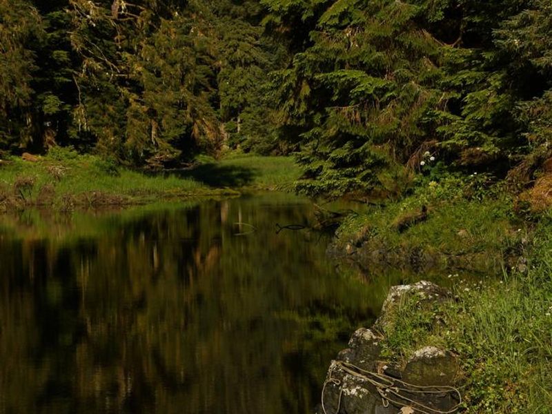 Karta River at the cabin