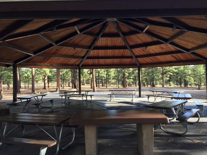 O'Leary Group Campground Site 3 Pavilion