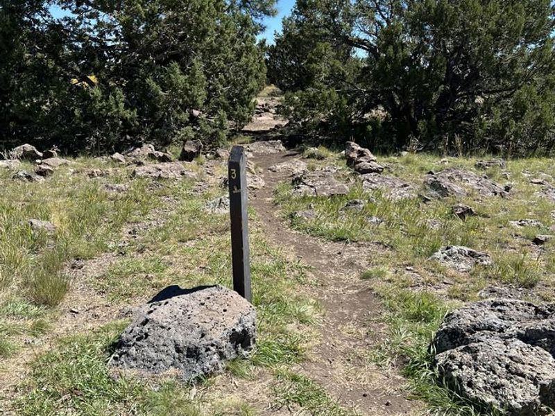 Forked Pine Campground - Site 3