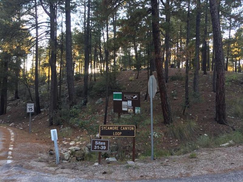 Rose Canyon Lake Campground