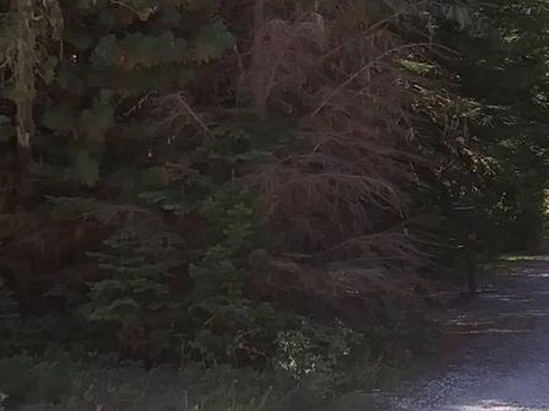 Berlin Flats Campground Entrance in Idaho Panhandle National Forest