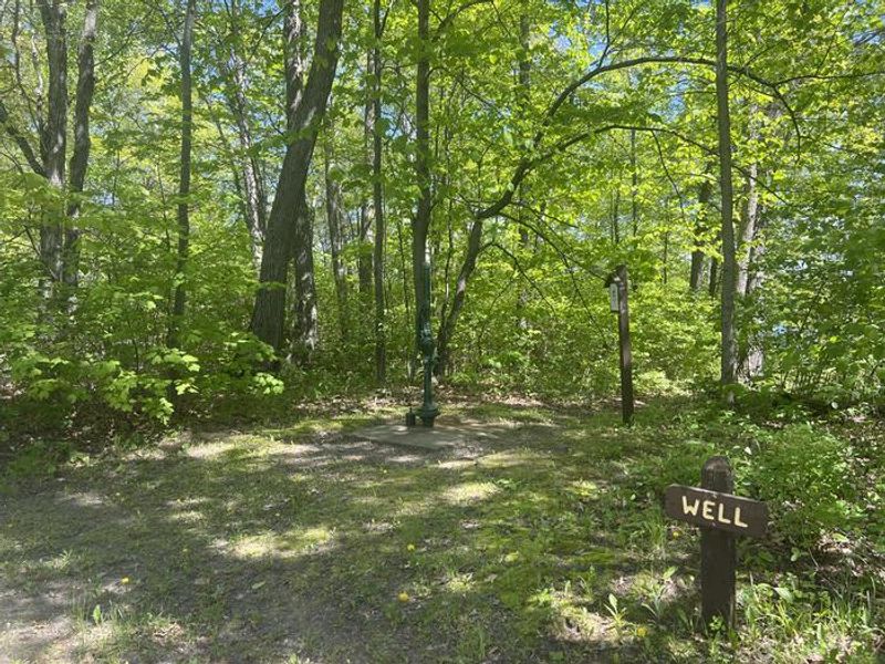 A photo of facility WILLIAMS NARROWS with No Amenities Shown