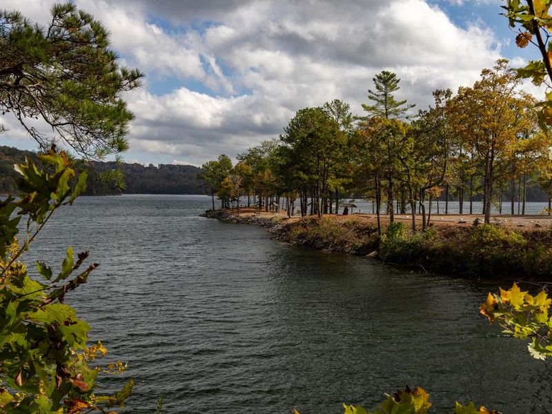 Woodring Day Use Area 