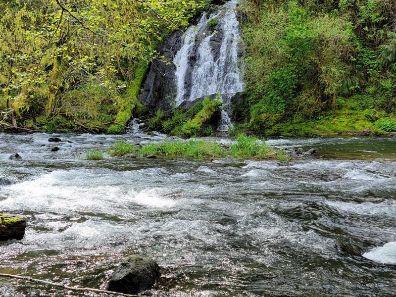 View of waterfall from campsite 9 in Alder Glen