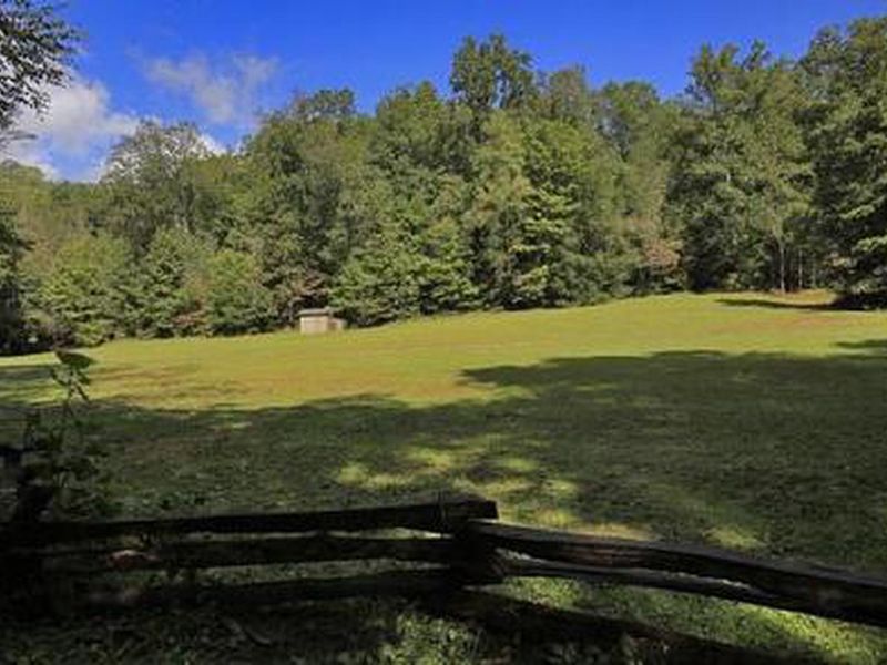 Field at Lower Cove Creek 