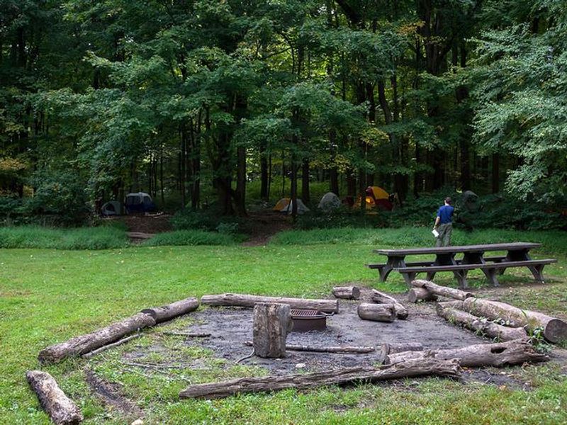 Each of the 3 group sites can accommodate 25 youth.  There are 2 shared pit toilet buildings, a pavilion, potable water, fire-rings and grills.  Firewood is available onsite.