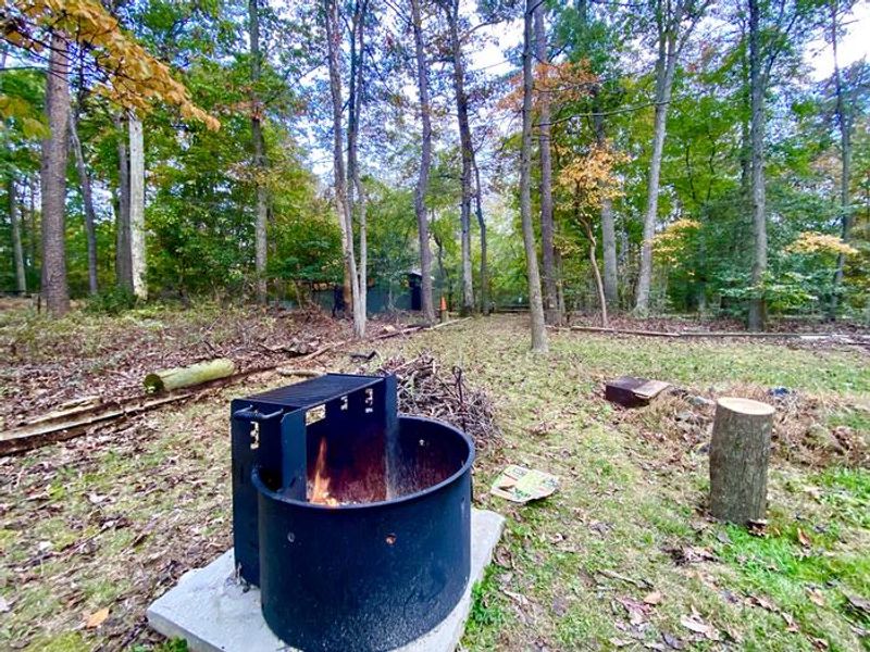 Relax and create a memory under the stars at a campfire.  Enjoy a beautiful campsite in the Urban Oasis just 10 miles from the Nation's Capital 
