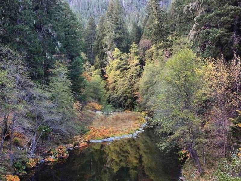South Fork National Recreation Trail at Steel Mule Bridge in the fall.