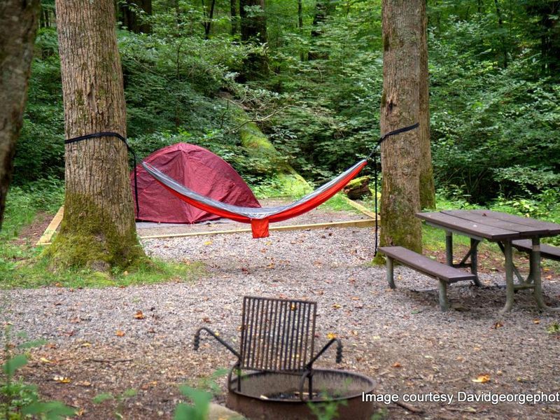 Cosby is deeply wooded. Many trees within your sites perimeter allows for hammock camping. 