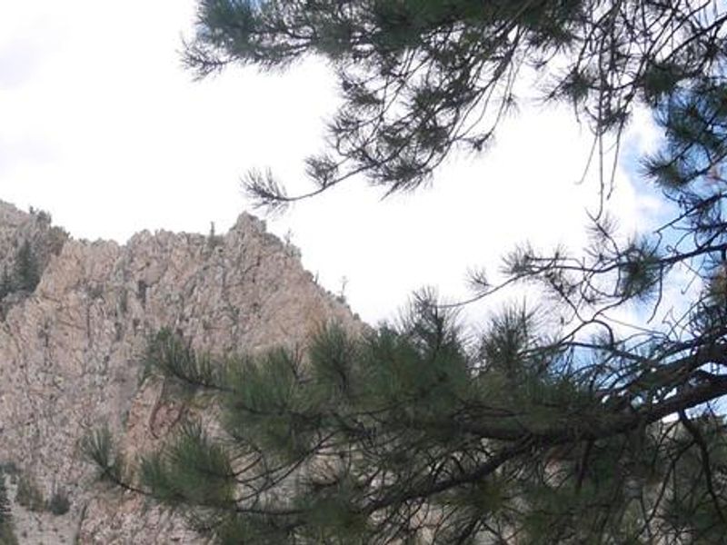 Columbine Campground 