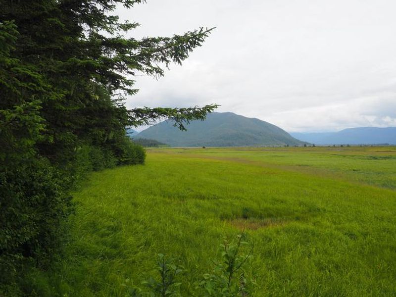 Little Dry Island Cabin scenery
