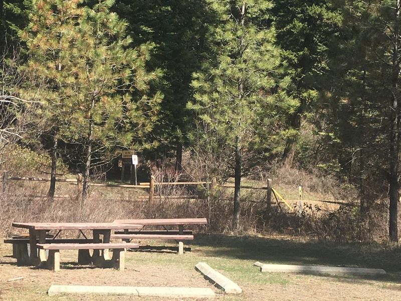 Campsite in Big Flat Campground.