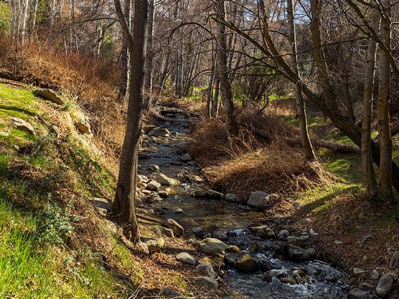 REYES CREEK CAMPGROUND11