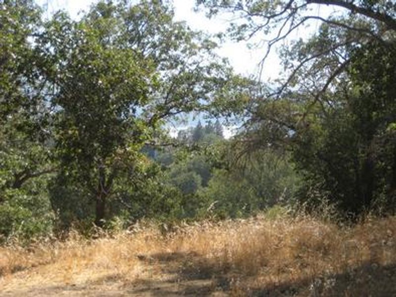 North Shore Campground